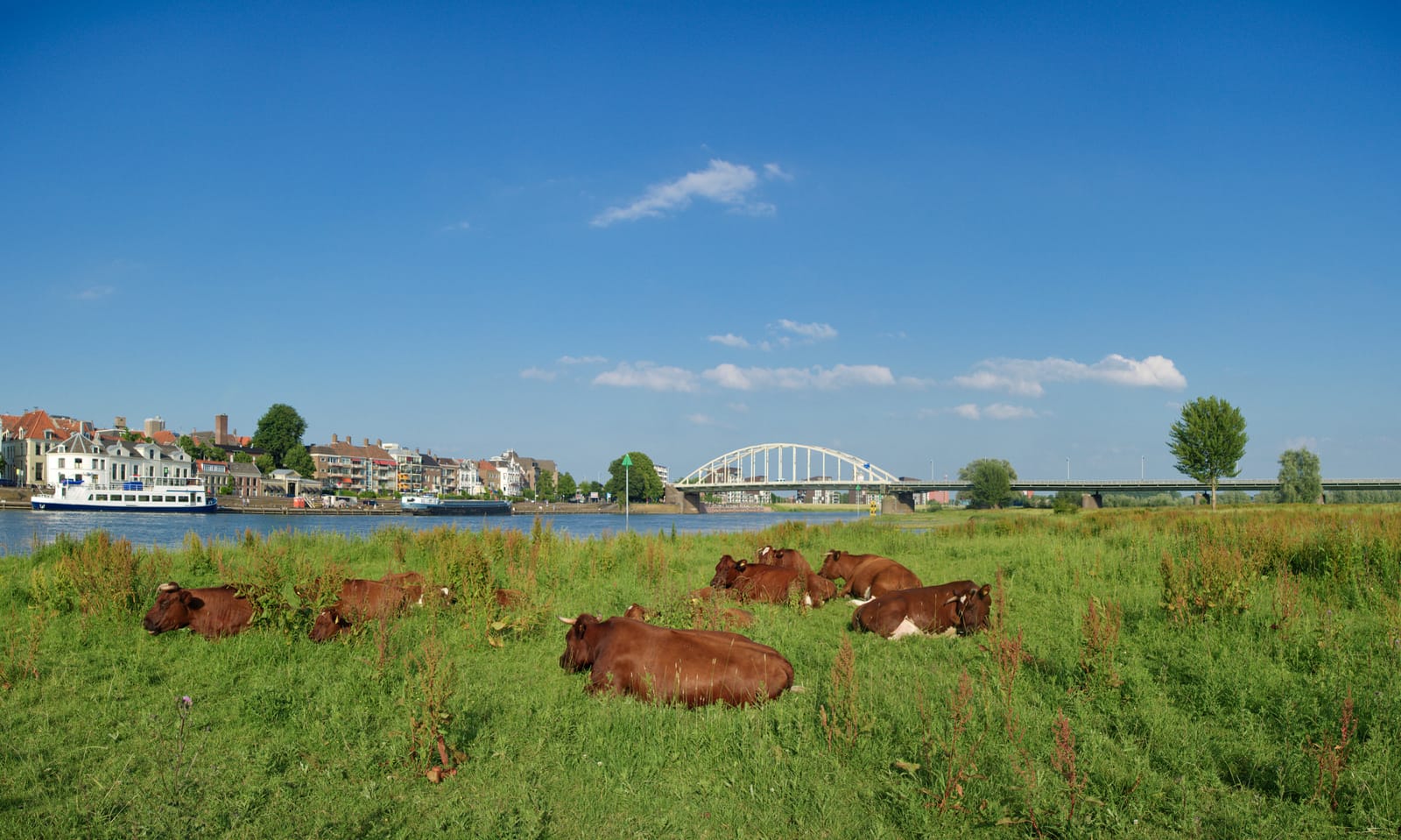Ontdek de magie van Deventer’s strandparadijs
